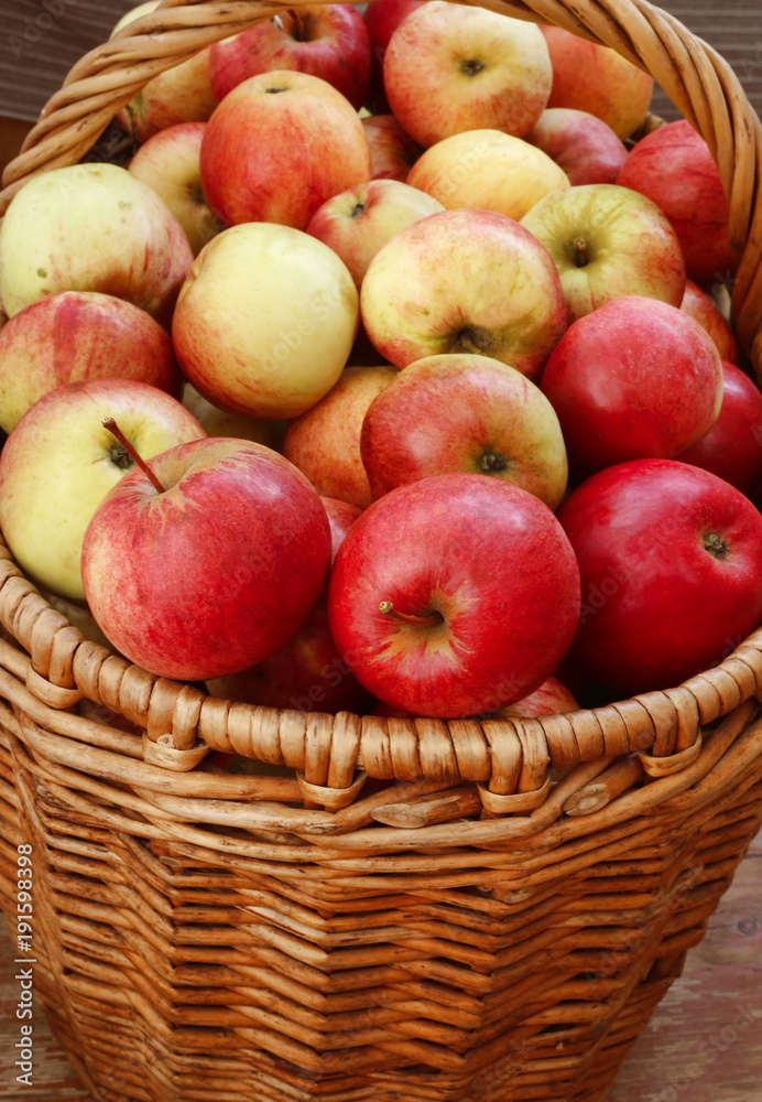 Bright tasty ripe apples in a basket Bright tasty ripe apples in a basket