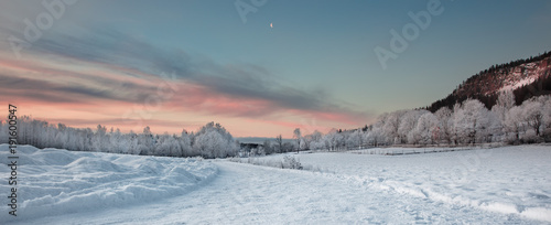 Snowy Landscape © HvardWalle