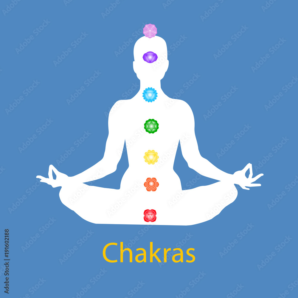 Famale body in lotus yoga asana with seven chakras on blue background. Root, Sacral, Solar, Heart, Throat, 3rd Eye, Crown chakras. Drawing Vector illustration eps10
