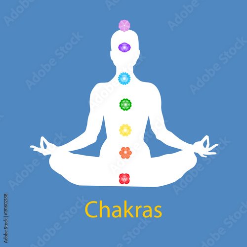 Famale body in lotus yoga asana with seven chakras on blue background. Root, Sacral, Solar, Heart, Throat, 3rd Eye, Crown chakras. Drawing Vector illustration eps10