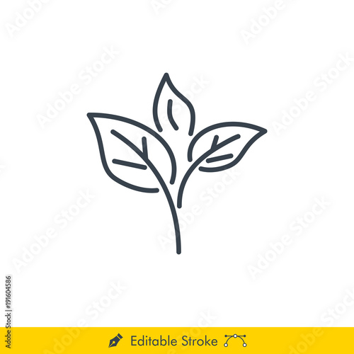 Tea Leaves Icon / Vector - In Line / Stroke Design