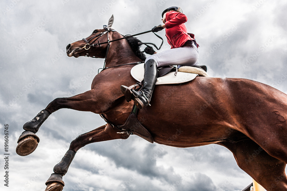Fototapeta Koń z jeźdźcem przeskakuje przeszkodę