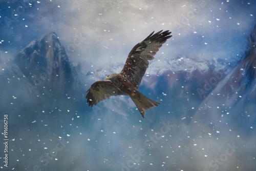A glorious painted eagle flies in the snowy mountains. 