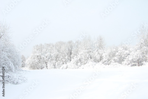 Magnificent winter frosty landscape for background splash  The beauty of the winter forest in Russia, this is not sand in the desert. © Viktor
