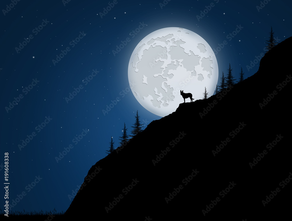 Fototapeta premium wolf on rope in the moonlight