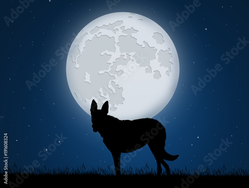 wolf in the moonlight