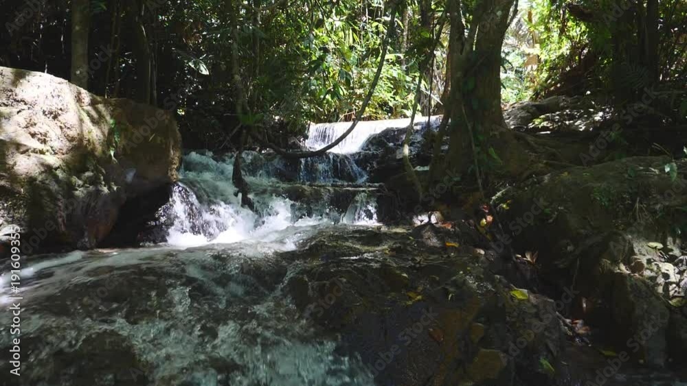 Tropical forest jungle with waterfall in slow motion, 180 frames per second, speed slowed down to 29.97fps , water falling down in shadow of trees Tropical forest jungle with waterfall in slow motion, 180 frames per second, speed slowed down to 29.97fps , water falling down in shadow of trees