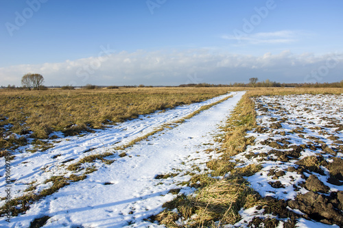 Fototapeta Naklejka Na Ścianę i Meble -  Long snow-covered country road
