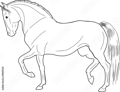 A silhouette of a trotting horse.