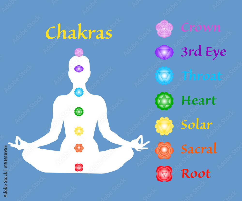 Famale body in lotus yoga asana with seven chakras on blue ...