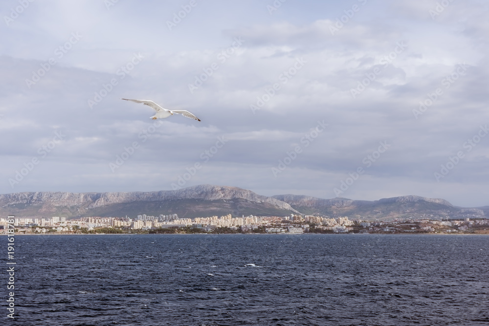 Landscape with seagull flying over the sea near Split, Croatia