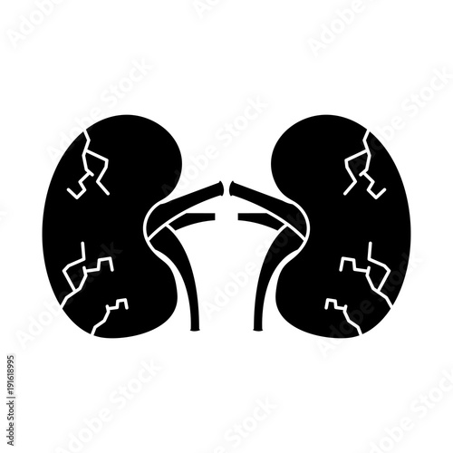 kidneys human unhealthy disease medical anatomic damaged vector illustration 