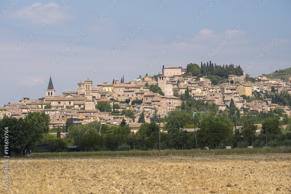Spello, Perugia: panoramic view