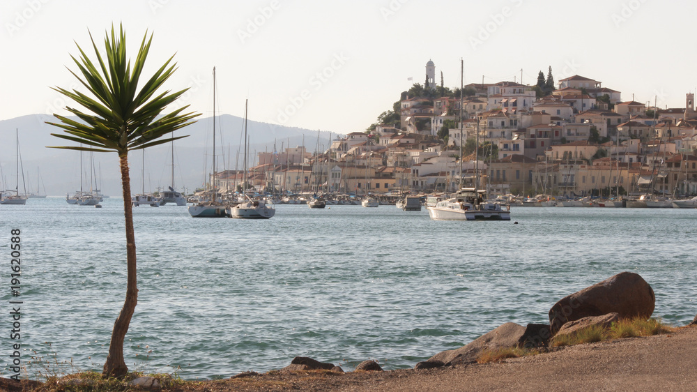 Palm tree in front of the marina port of an island in the Mediterranean sea Palm tree in front of the marina port of an island in the Mediterranean sea