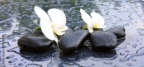Fototapeta Naklejka Na Ścianę i Meble -  Two orchid flowers and stones. Spa background.