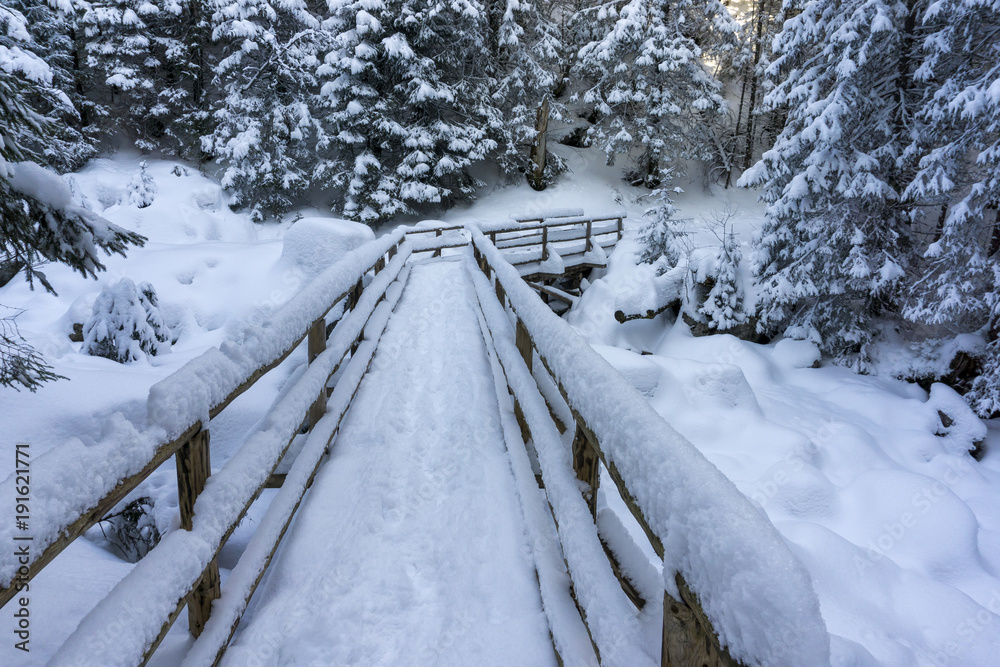 A bridge in a winter mountain forest. Tatra Mountains. A bridge in a winter mountain forest. Tatra Mountains.