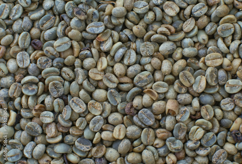coffee bean texture background coffee bean texture background