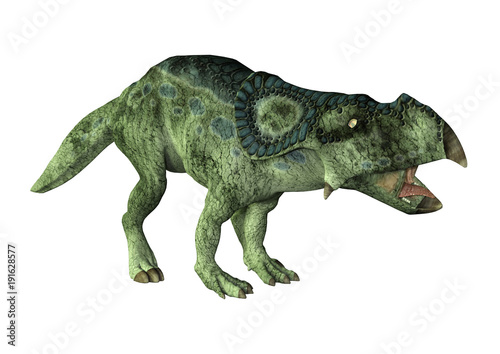 3D Rendering Dinosaur Protoceratops on White