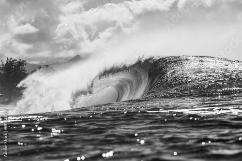 Fototapeta Naklejka Na Ścianę i Meble -  huge wave breaking in hawaii, black and white