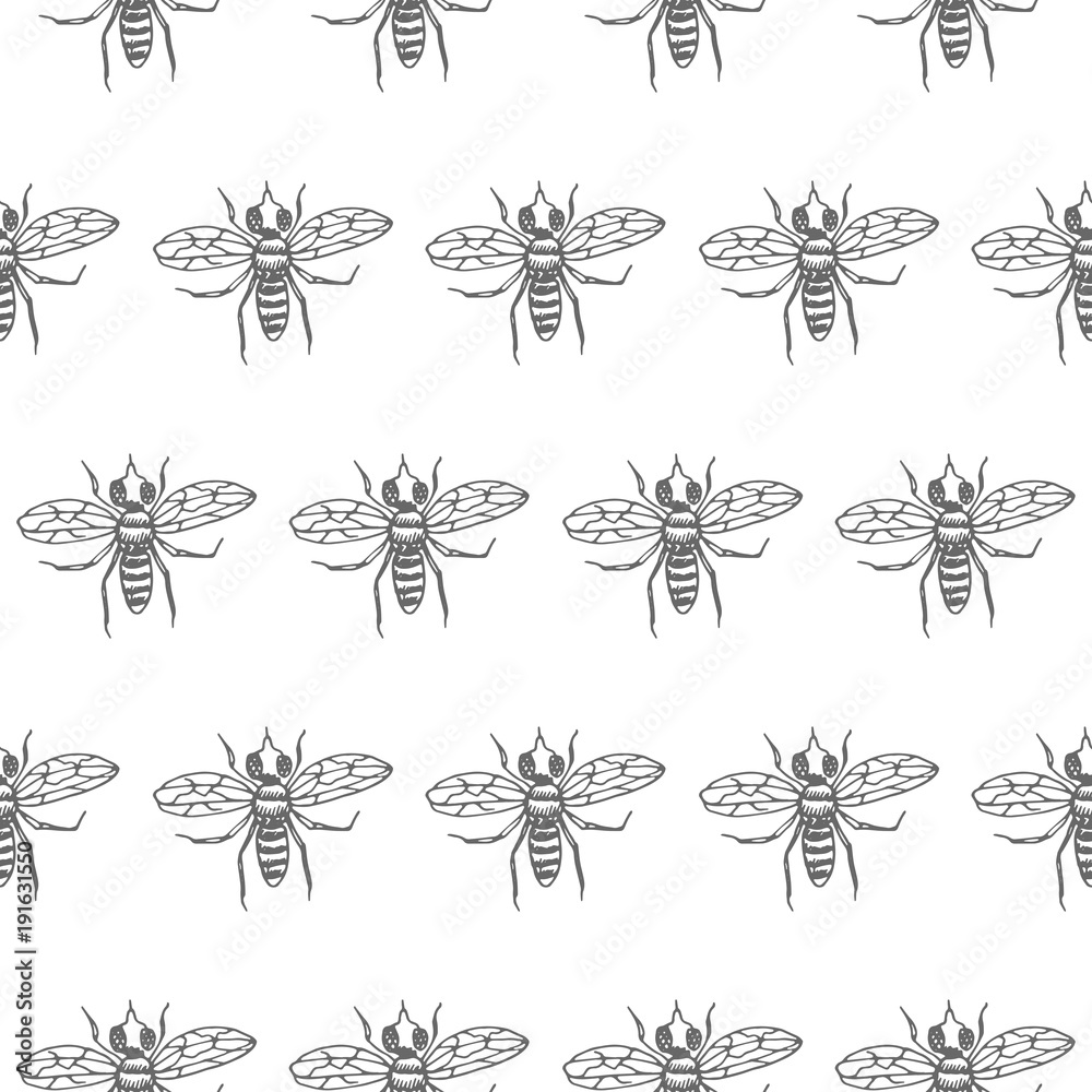 fly seamless vector pattern fly seamless vector pattern