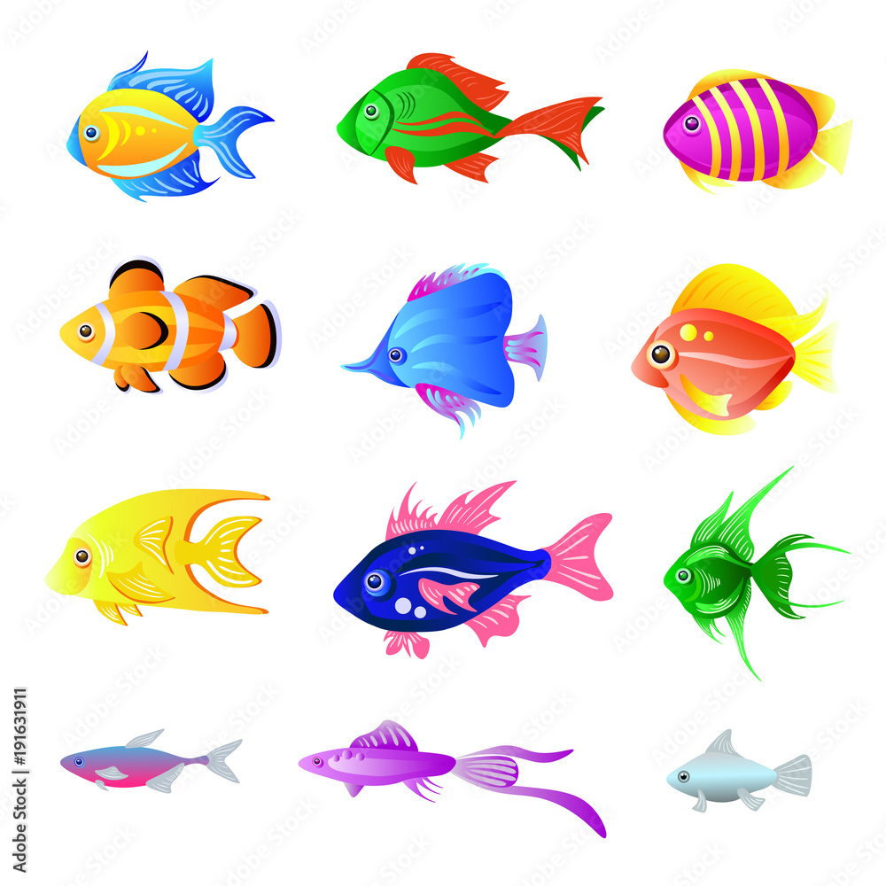 Vector set of bright fish isolated on the white Vector set of bright fish isolated on the white