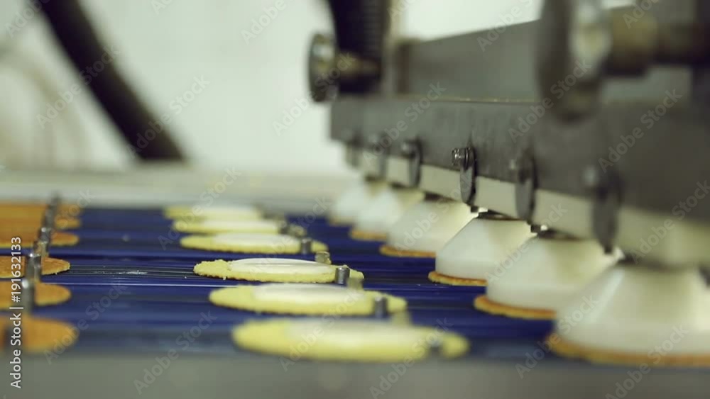 biscuits on the conveyor confectionery biscuits on the conveyor confectionery
