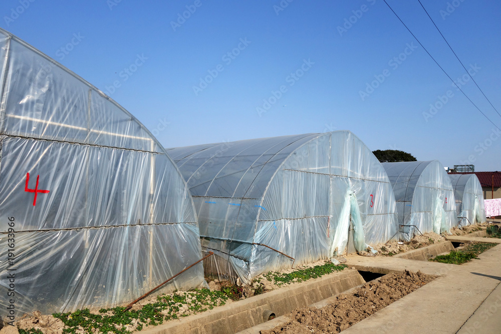 Large greenhouse for plants in the autumn