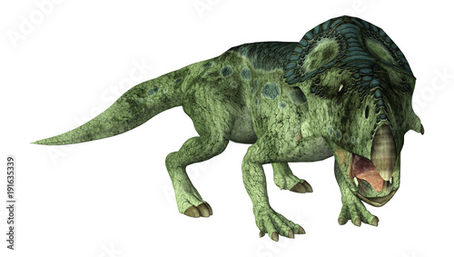 3D Rendering Dinosaur Protoceratops on White © photosvac