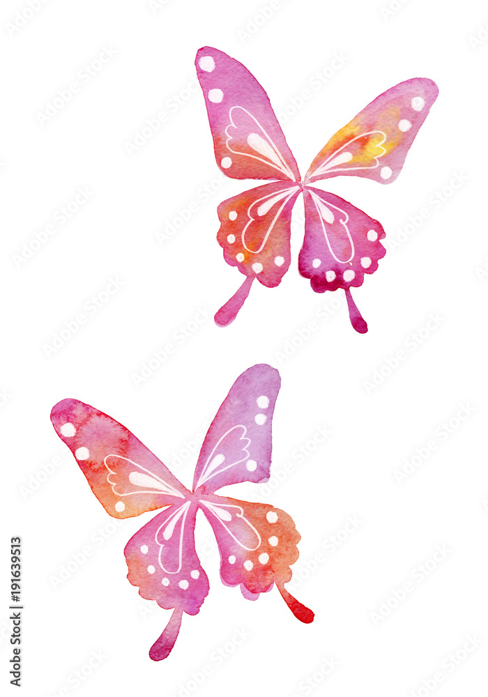 アゲハ蝶の水彩イラスト Stock Illustration Adobe Stock