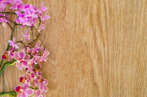 Pink orchid flowers on a wooden table. Space for text
