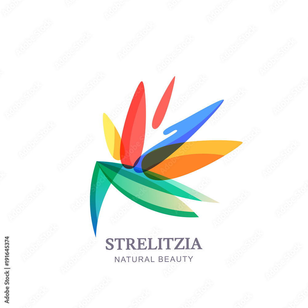 Vector logo icon or emblem with multicolor strelitzia tropical flower. Concept for spa and beauty salon, natural cosmetics and aesthetic cosmetology.