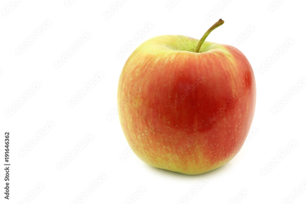 fresh new Dutch apple variety called fresh new Dutch apple variety called