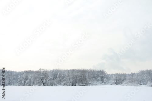 Magnificent winter frosty landscape for background splash The beauty of the winter forest in Russia, this is not sand in the desert.