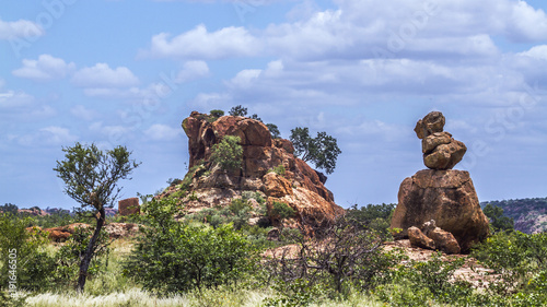 Boulders rocks in Mapungubwe National park, South Africa