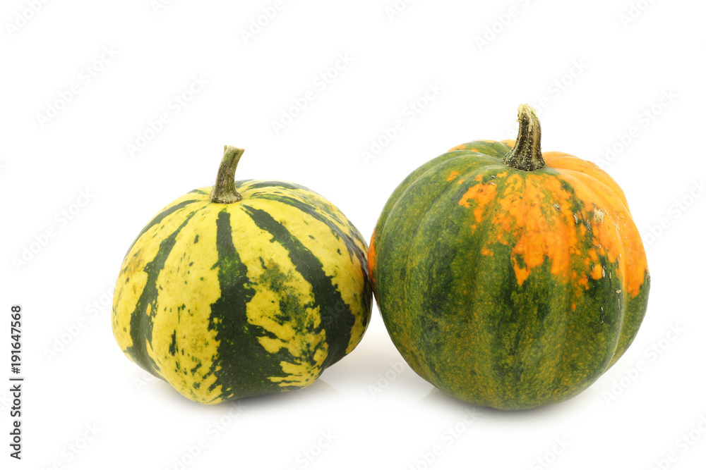 two decorative pumpkins on a white background two decorative pumpkins on a white background