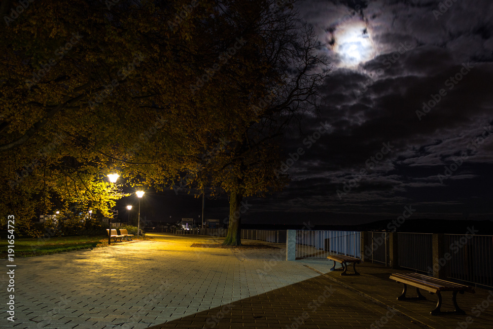 Bench in the park under moonlight and poles.