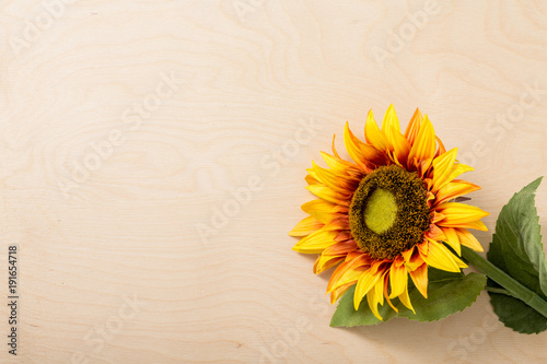 Sunflower. On a light background. Bright flowers. bouquet. Gift. For your design