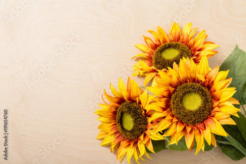 Sunflower. On a light background. Bright flowers. bouquet. Gift. For your design