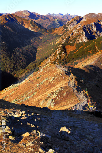 Fototapeta Naklejka Na Ścianę i Meble -  Poland, Tatra Mountains, Zakopane - Goryczkowa Pass na Zakosy, Tomanowa Liptowska Valley, Tomanowy Wierch and Czerwone Wierchy peaks with Western Tatra in background