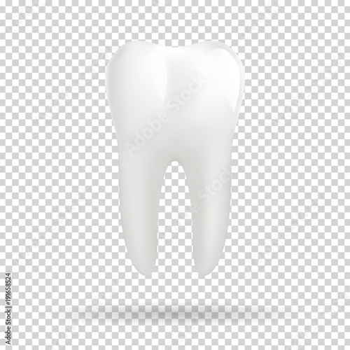 White molar tooth