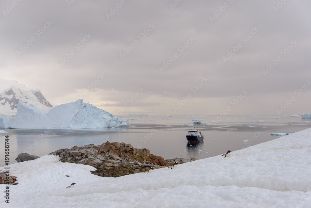 Expedition ship in Antarctic sea