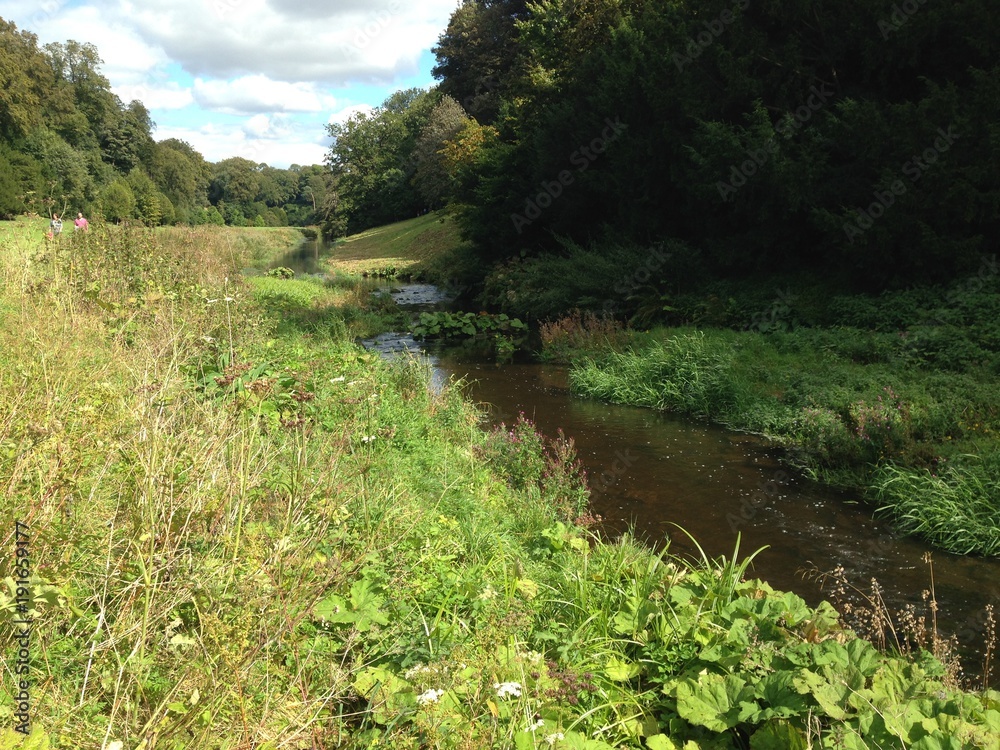 Obraz premium Countryside Brook