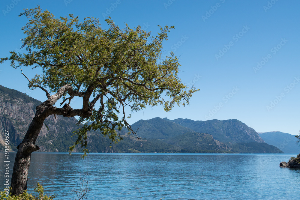 Lake Landscape with a tree, mountains background and blue sky