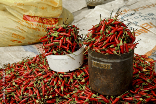 Peperoncini al mercato di Makassar in Indonesia photo