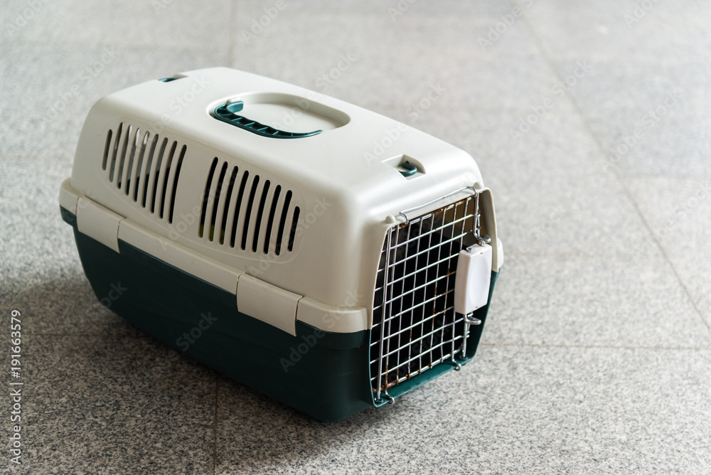 Plastic bag for carrying pets is in lobby of station