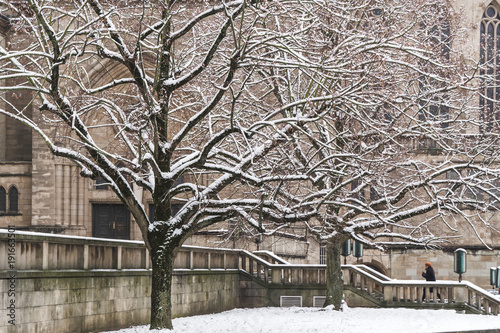 Lovely white Luxembourg photo