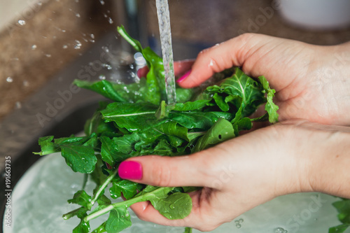 Hands of woman washing green leaves of arugula
