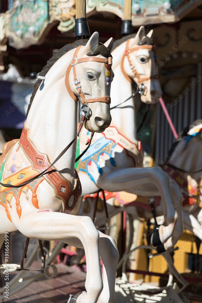 White horses of the antique carousel