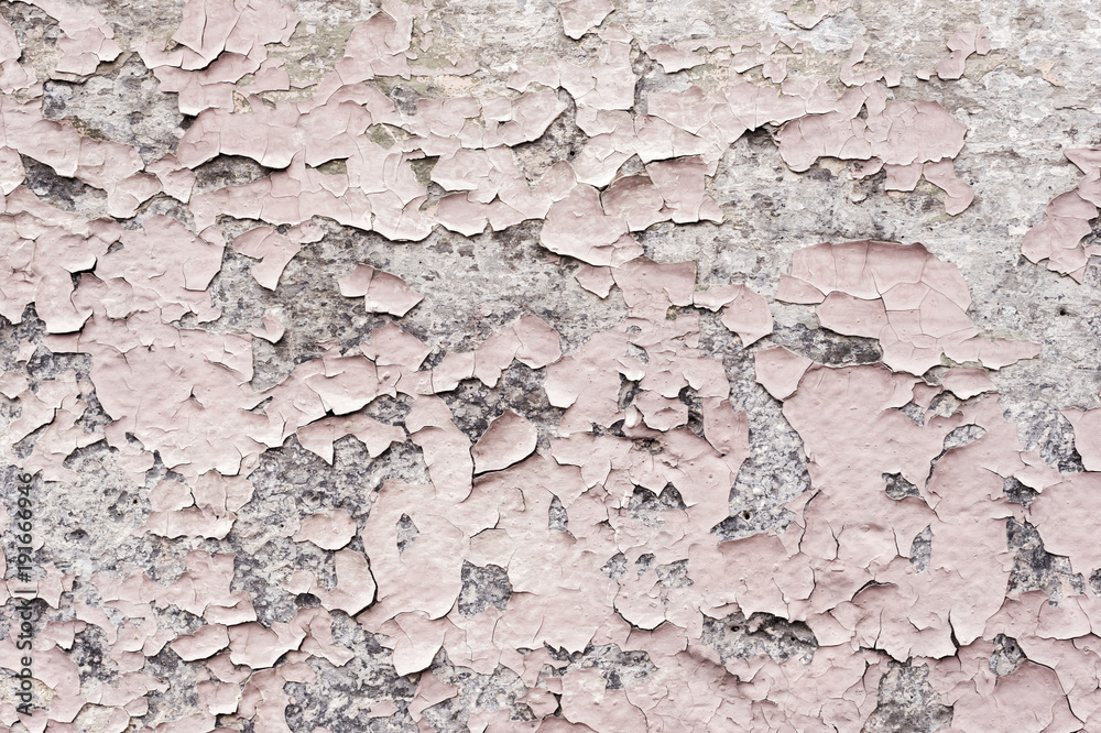 Pink paint coating with cracks on a dirty gray stone. Peeling pink paint Grunge Pink paint coating with cracks on a dirty gray stone. Peeling pink paint Grunge