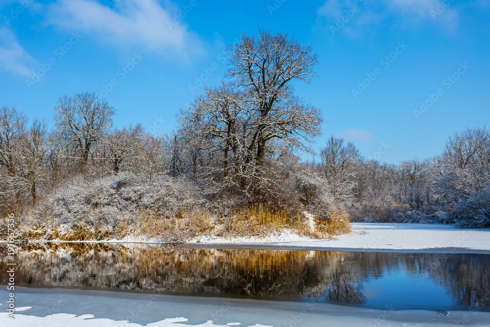 winter frozen river flow through a forest